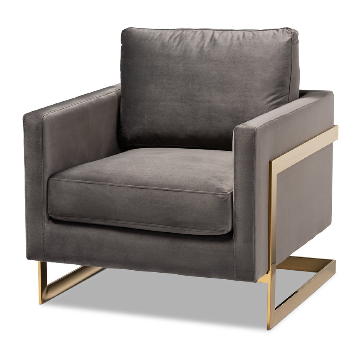 Modern European furniture - Gold Framed Velvet Accent Chair - www.oroa.com