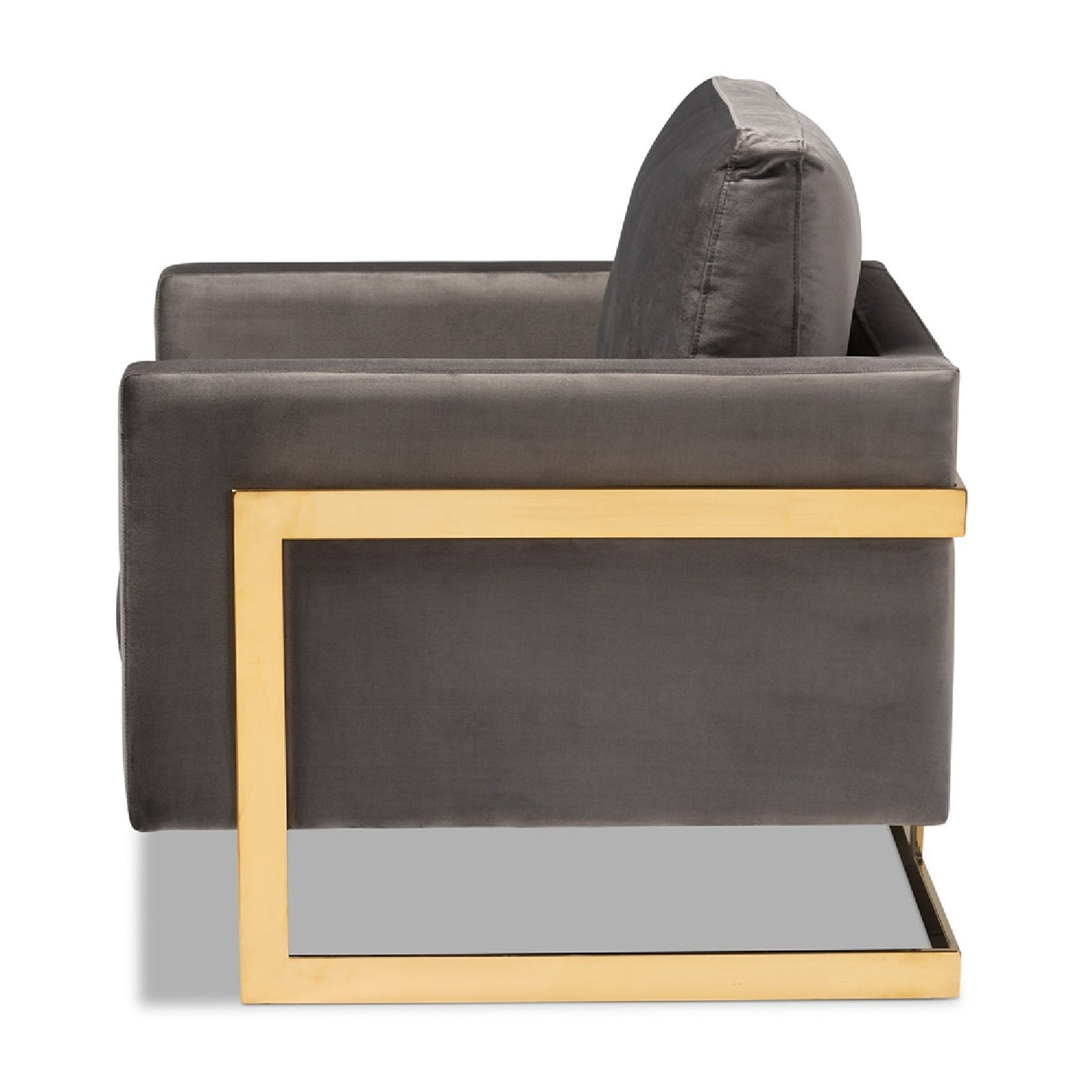 Modern European furniture - Gold Framed Velvet Accent Chair - www.oroa.com