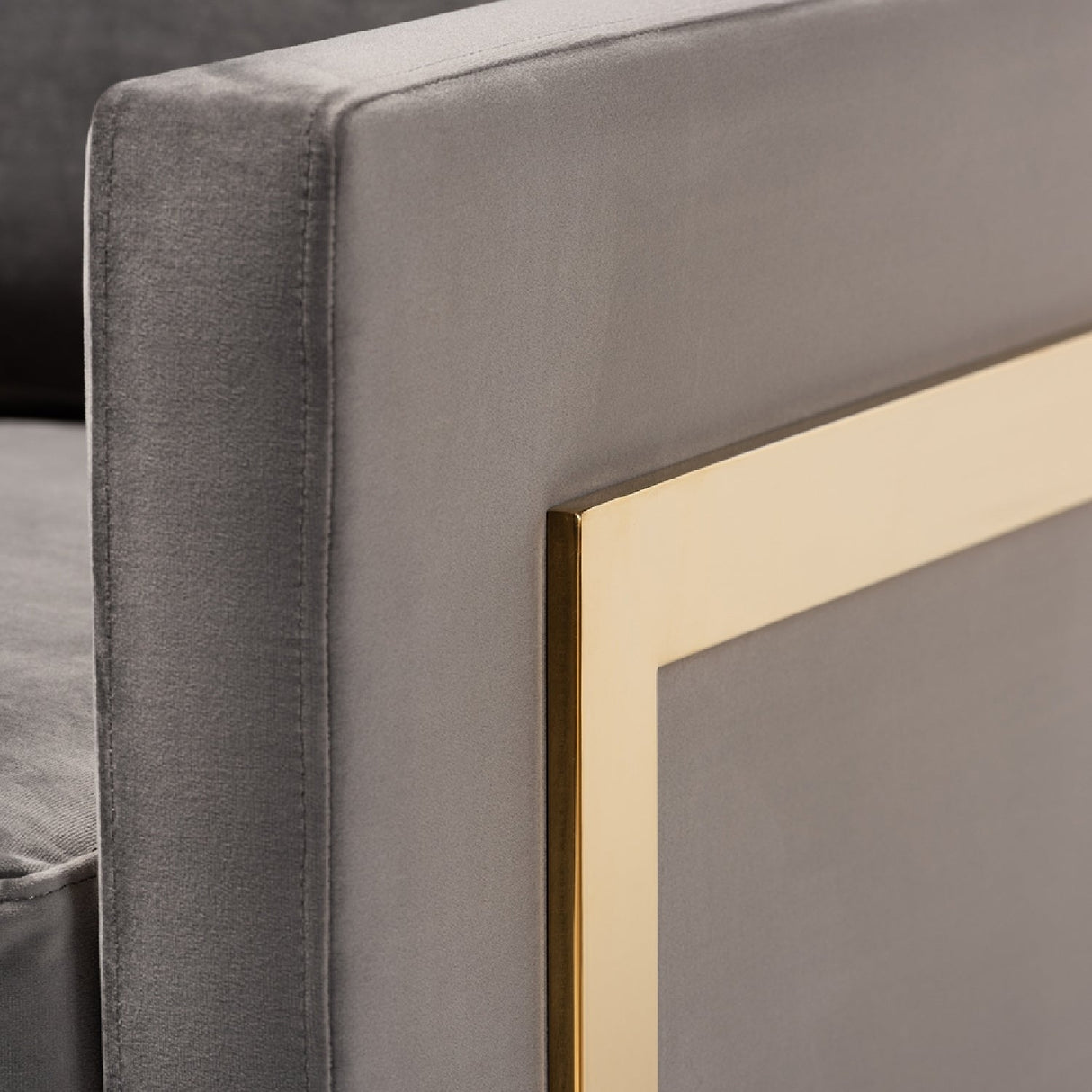 Modern European furniture - Gold Framed Velvet Accent Chair - www.oroa.com