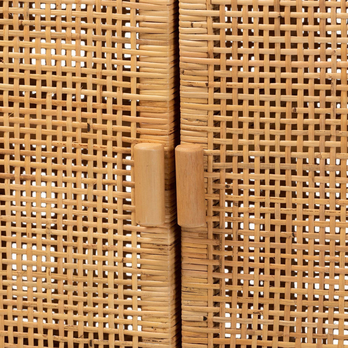 Modern European furniture - Mahogany Framed Rattan Cabinet - www.oroa.com