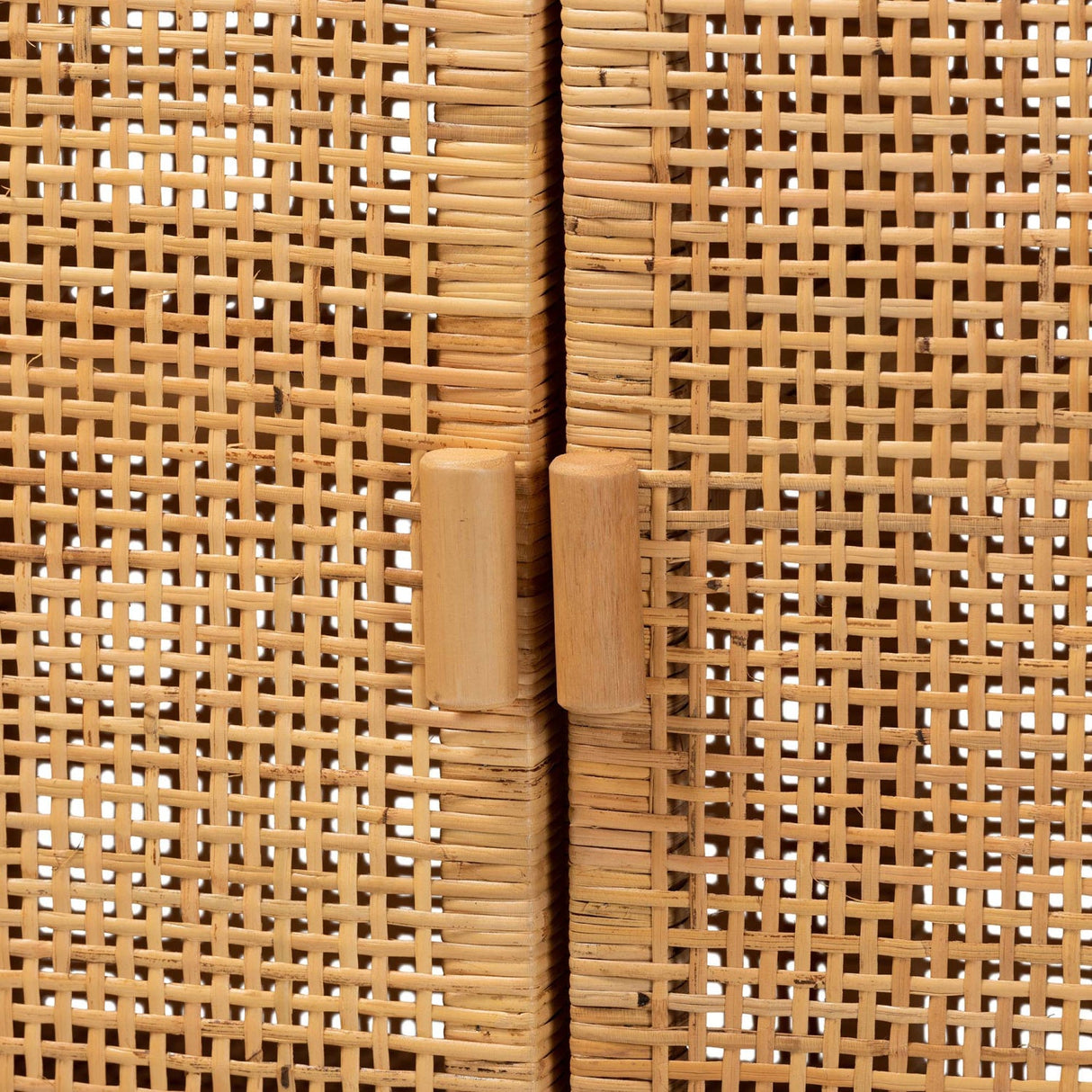 Modern European furniture - Mahogany Framed Rattan Cabinet - www.oroa.com