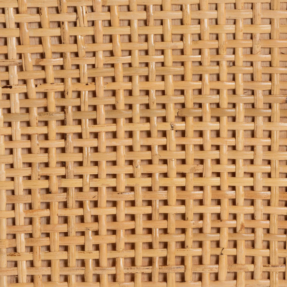 Modern European furniture - Mahogany Framed Rattan Cabinet - www.oroa.com