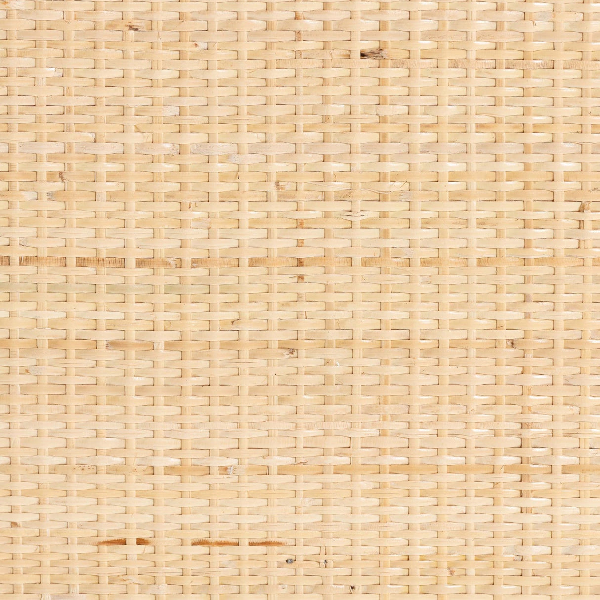 Modern European furniture - Floral Woven 2 Door Cabinet - www.oroa.com