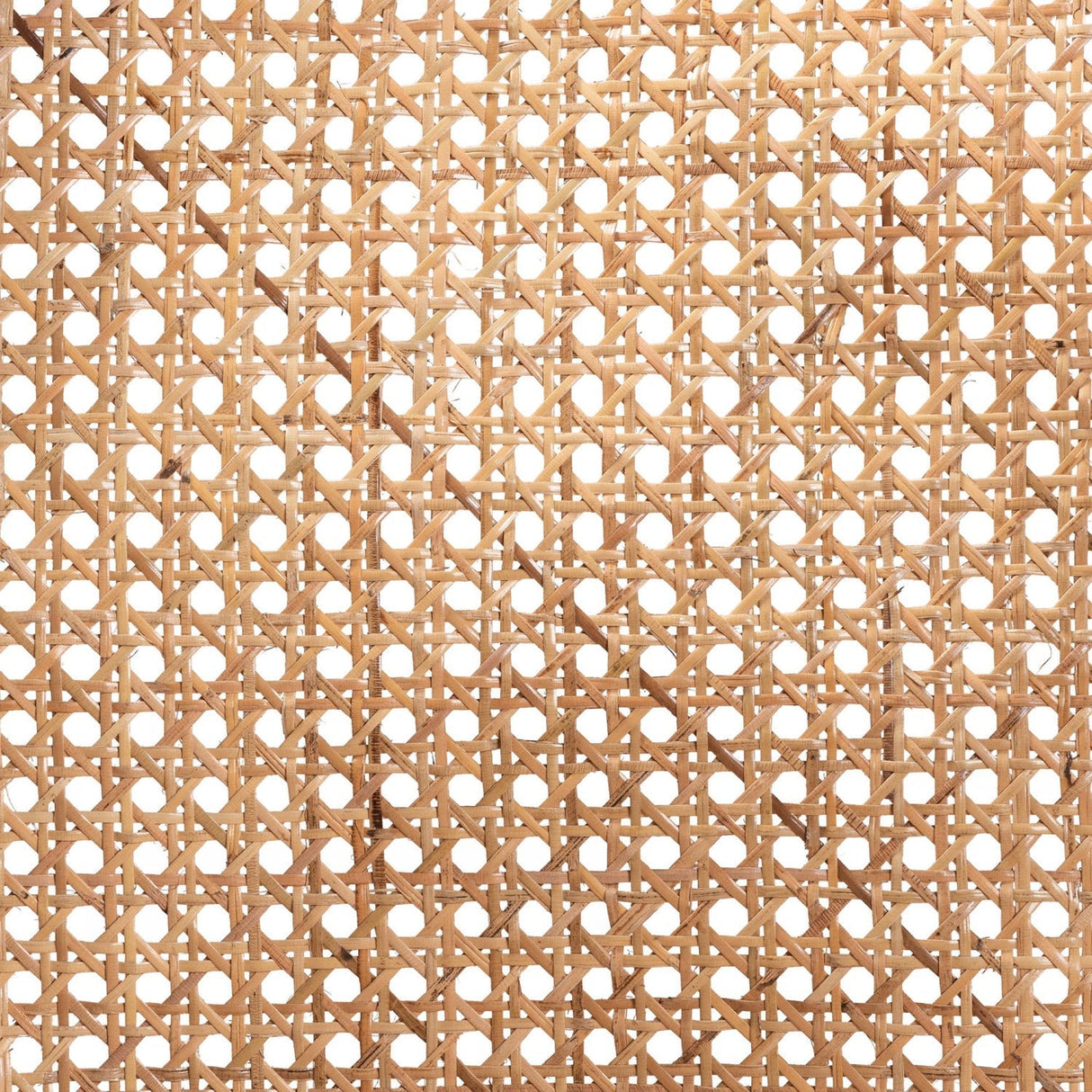 Modern European furniture - Black Framed Rattan Dining Chair - www.oroa.com