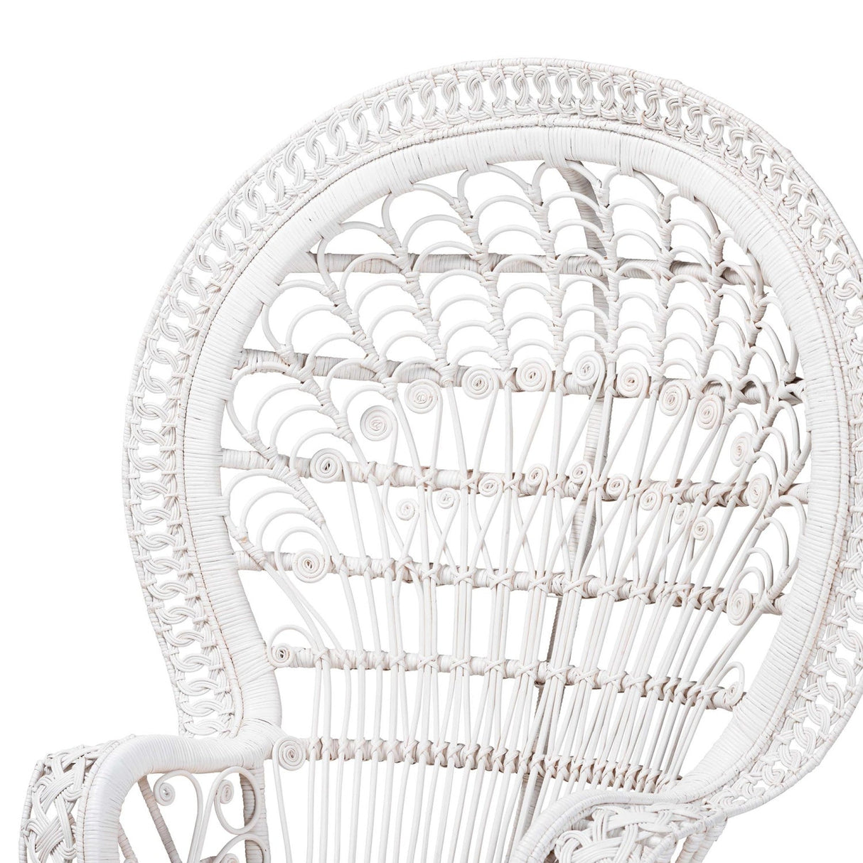Modern European furniture - White Rattan Peacock Chair - www.oroa.com
