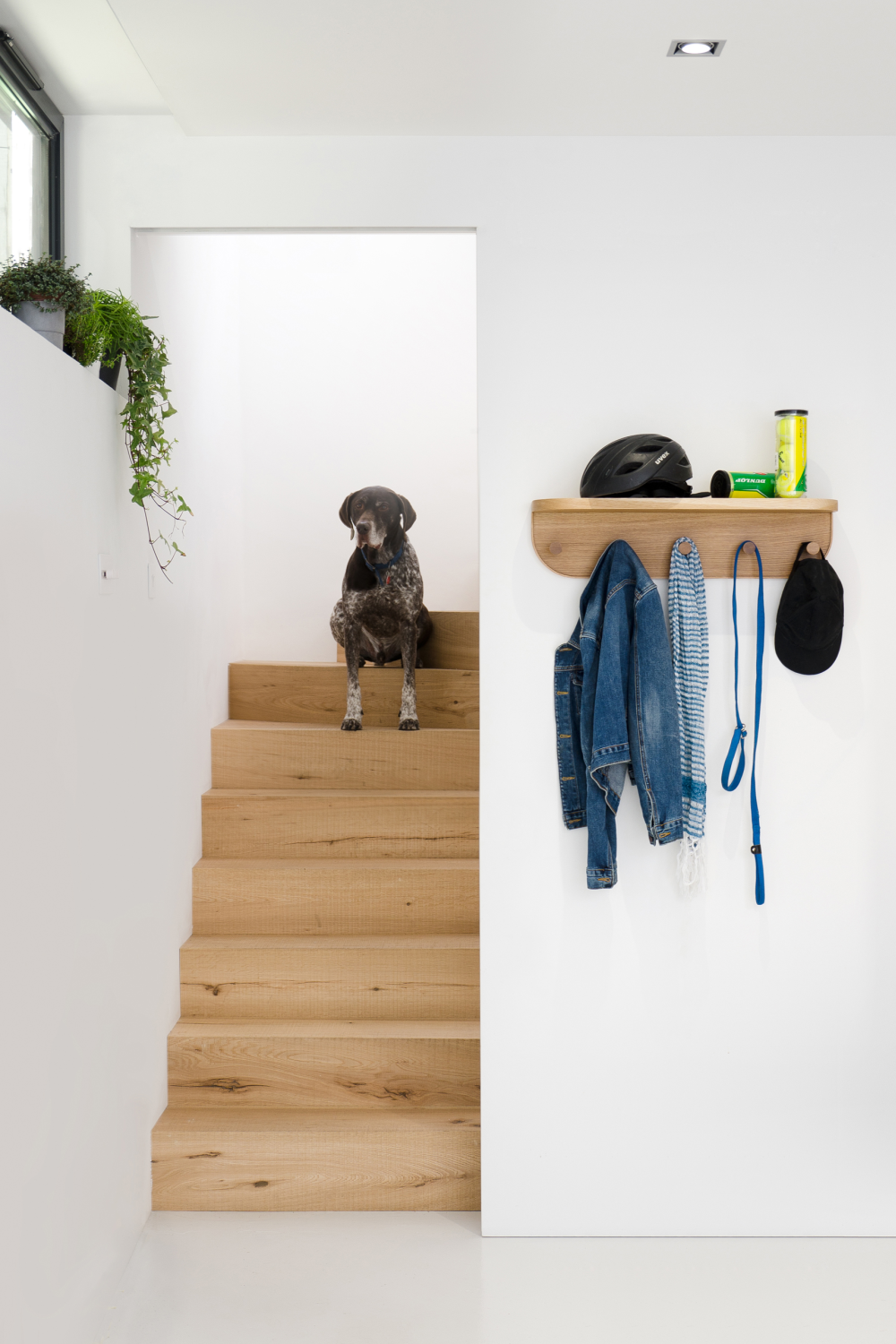 Oak Five-Hook Storage Shelf | Wireworks Nook | Oroa.com
