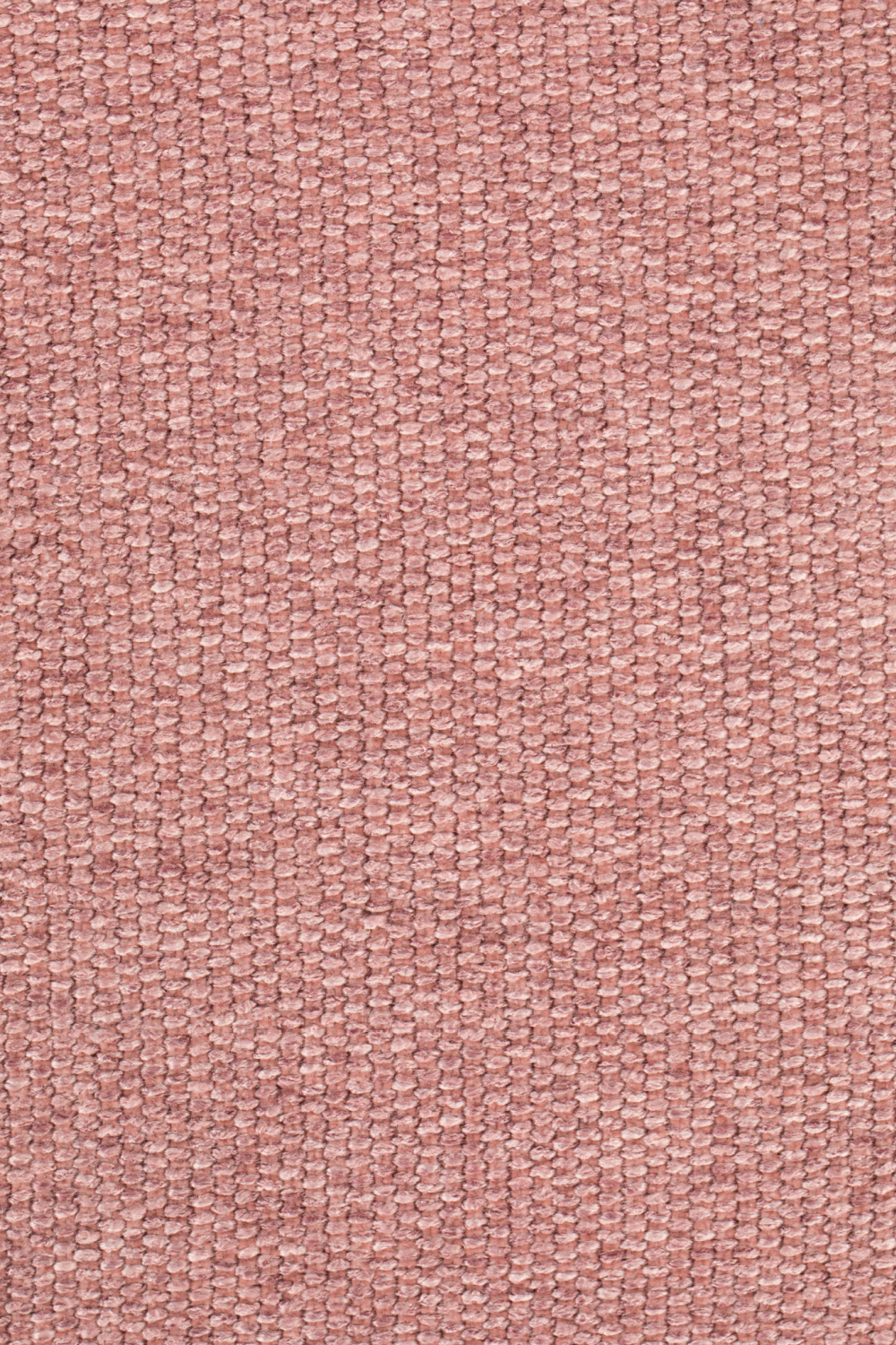 Padded Shell Dining Chairs (2) | Zuiver Albert Kuip | Oroa.com