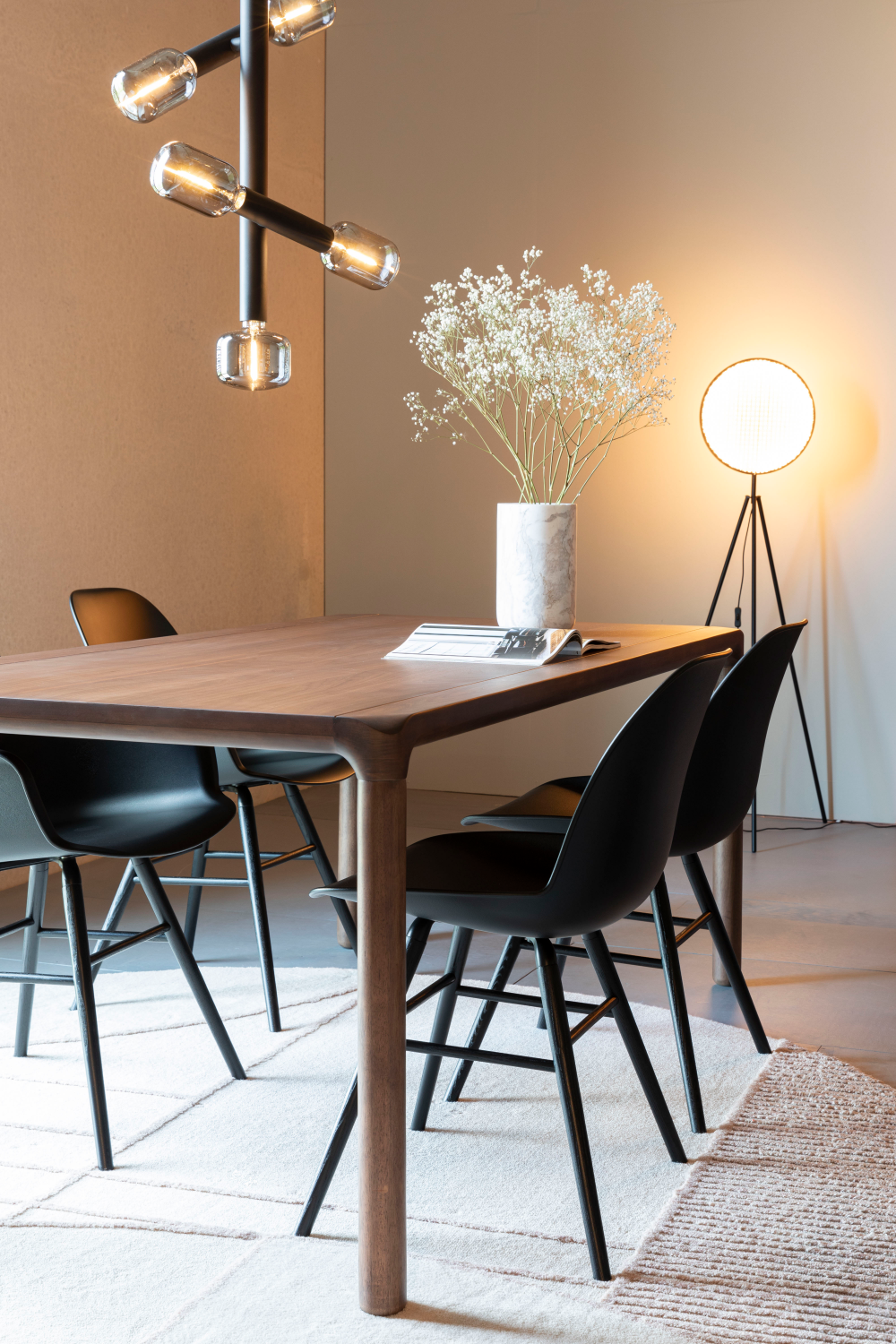 Modern Shell Dining Chairs (2) | Zuiver Albert Kuip | Oroa.com
