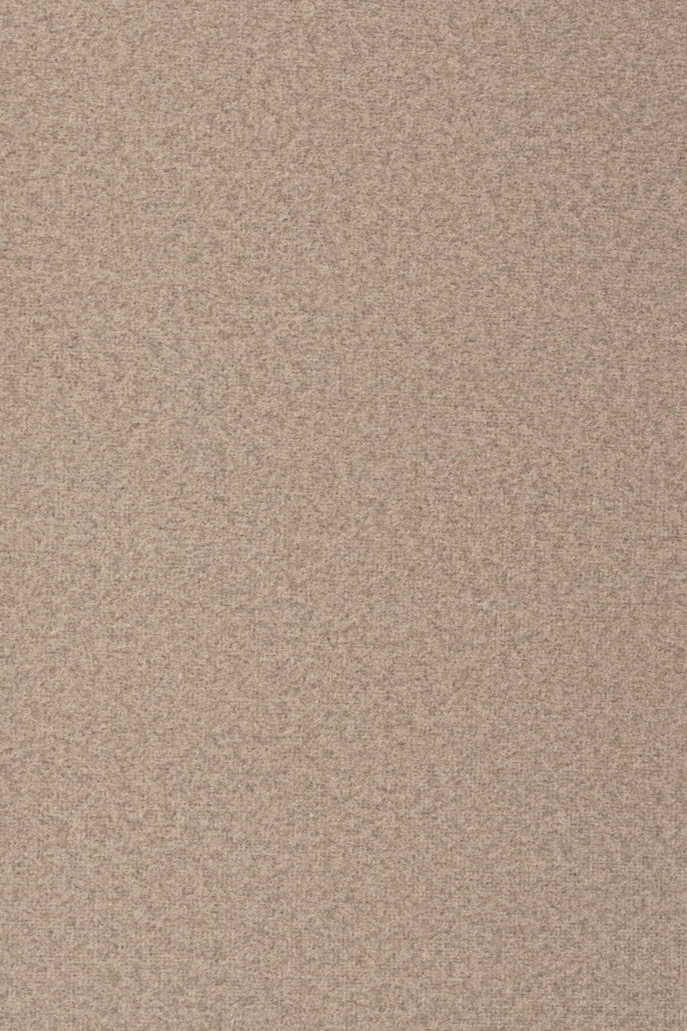 Modern Dining Armchair Set (2) | Zuiver Alba | OROA.com