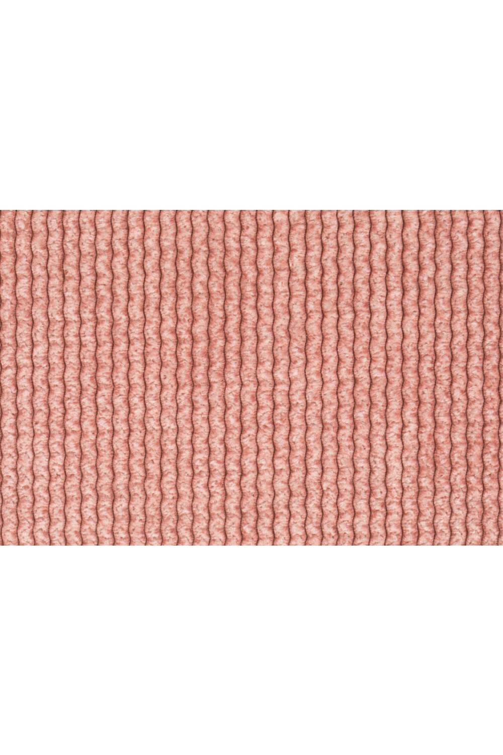 Padded Dining Armchairs (2) | Zuiver Benson | Oroa.com