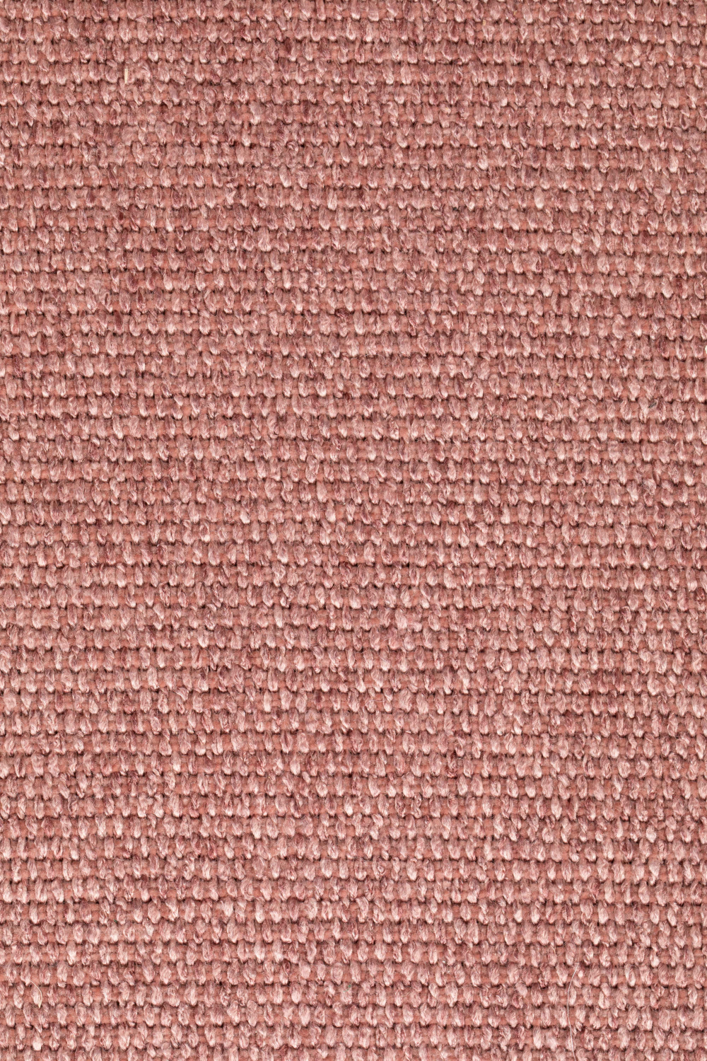 Rattan Backrest Counter Stool | Zuiver Spike | OROA.com