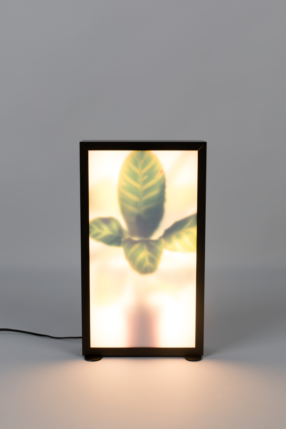 Houseplant Glass Floor Lamp | Zuiver Grow | Oroa.com