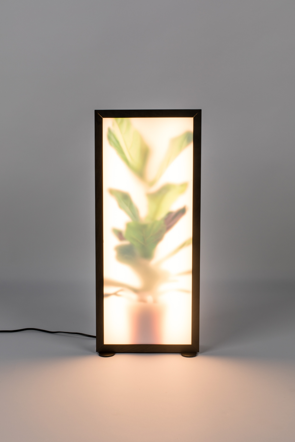 Houseplant Glass Floor Lamp | Zuiver Grow | Oroa.com