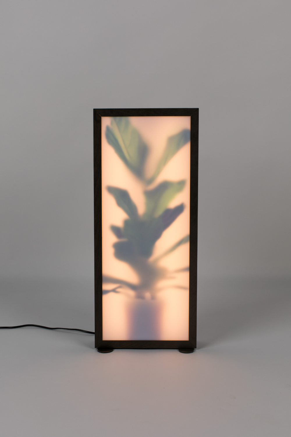 Houseplant Glass Floor Lamp | Zuiver Grow | Oroa.com