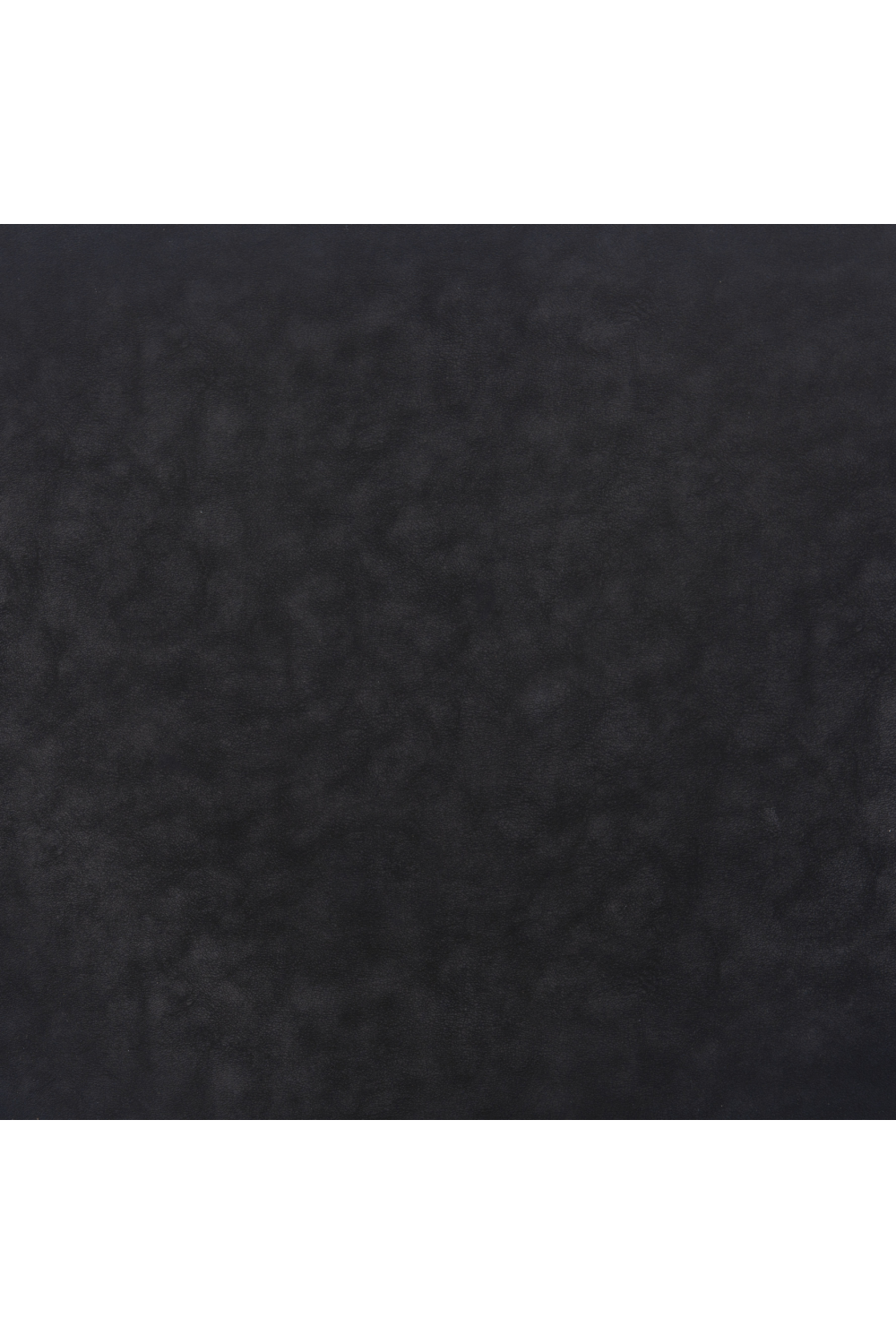 Leather Dining Chairs (2) | OROA Modern Desi | Oroa.com