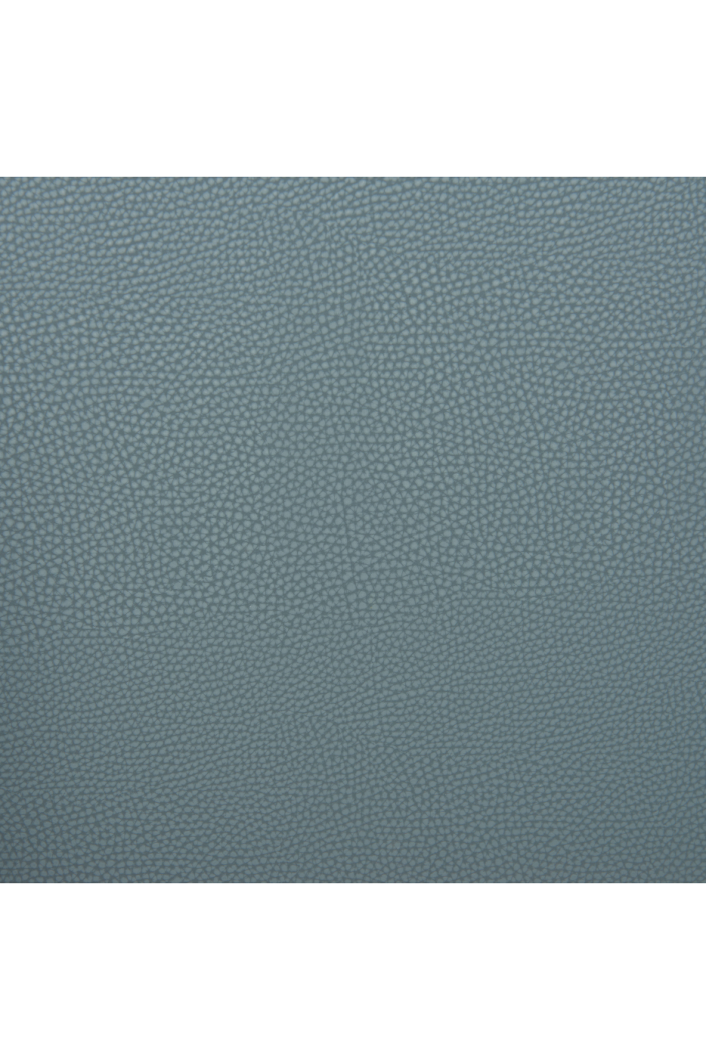 Leather Dining Chairs (2) | Oroa.com