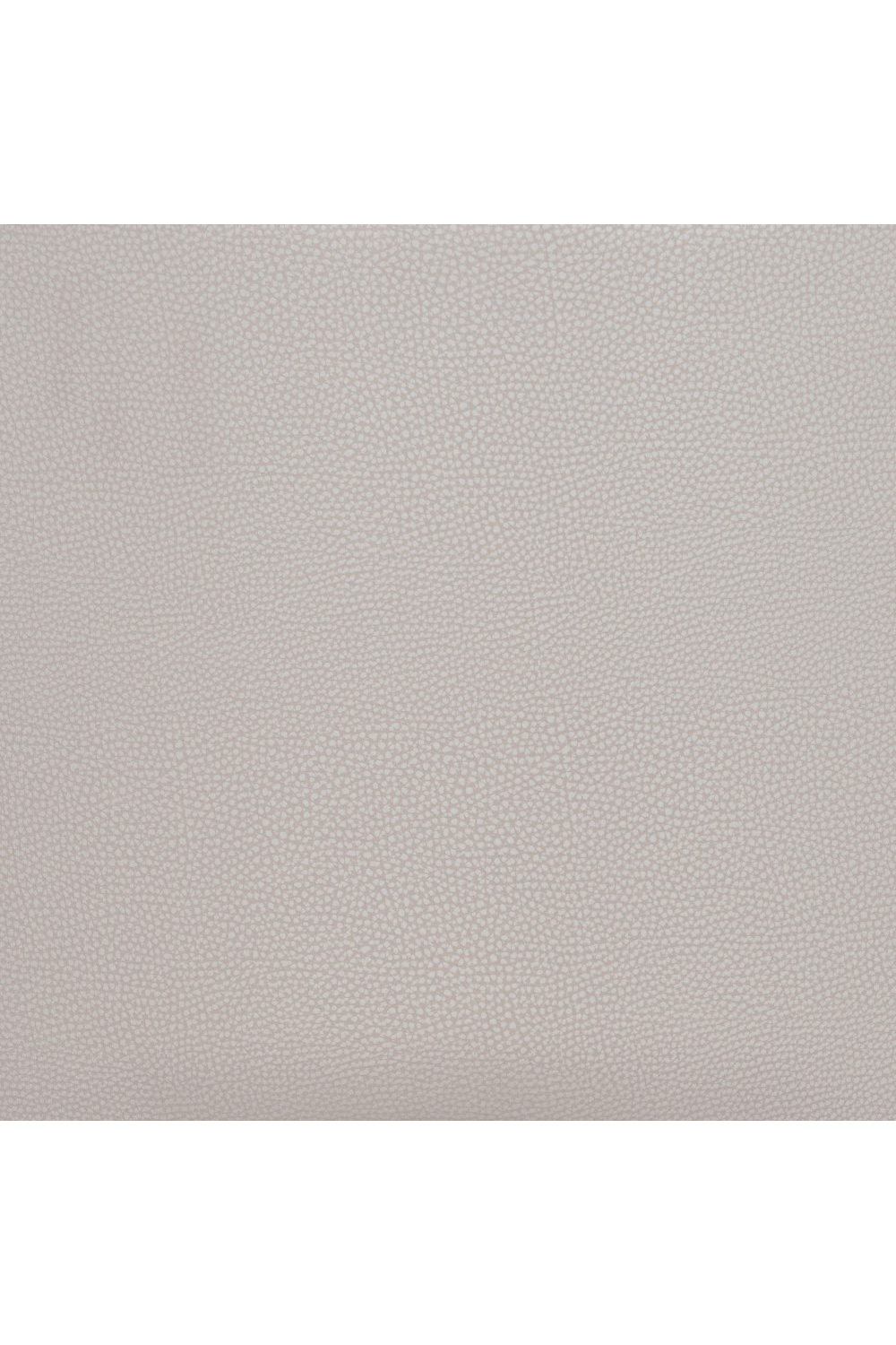 Leather Dining Chairs (2) | OROA Modern Desi | Oroa.com