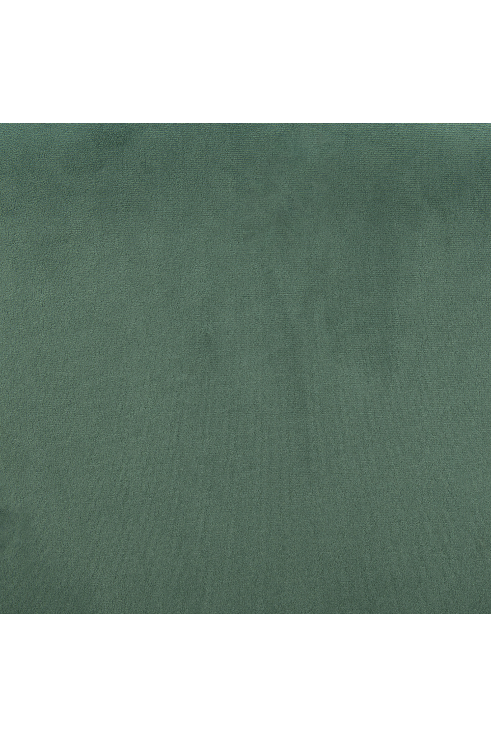 Velvet Dining Chairs (2) | Oroa.com