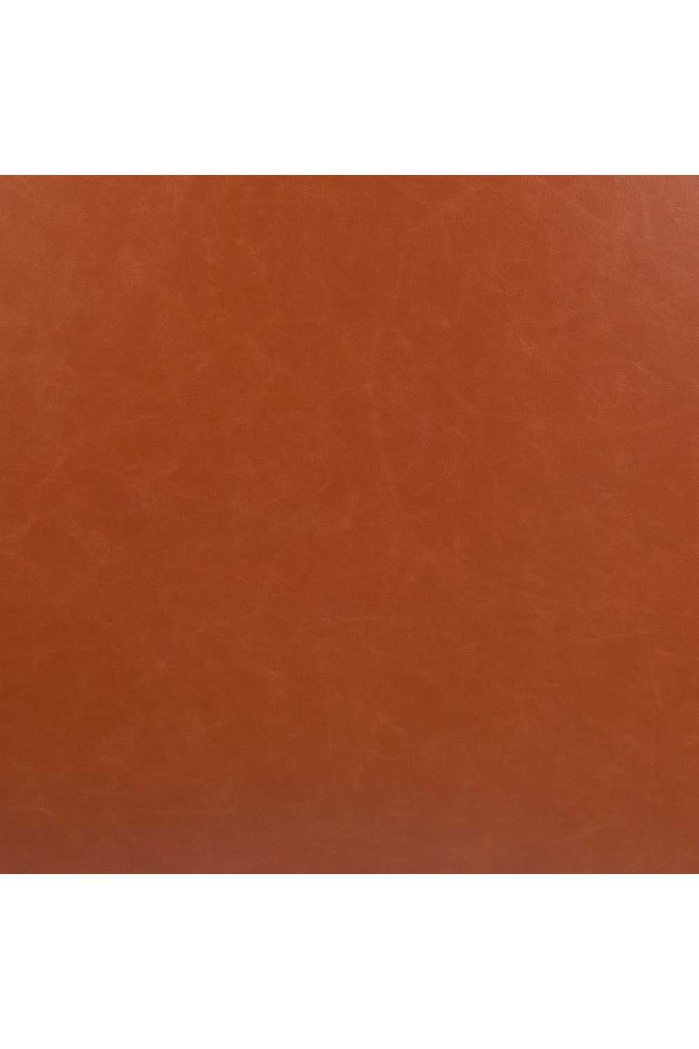 Leather Contemporary Accent Chair | OROA Modern Horten | Oroa.com