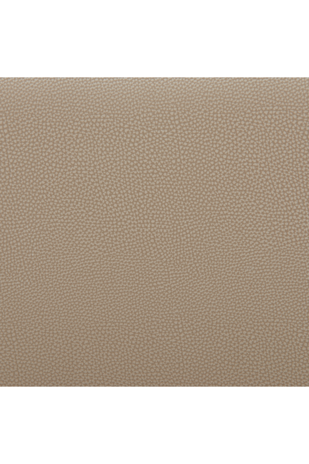 Beige Leather Seat Counter Stools (2) | OROA Modern Divat | Oroa.com