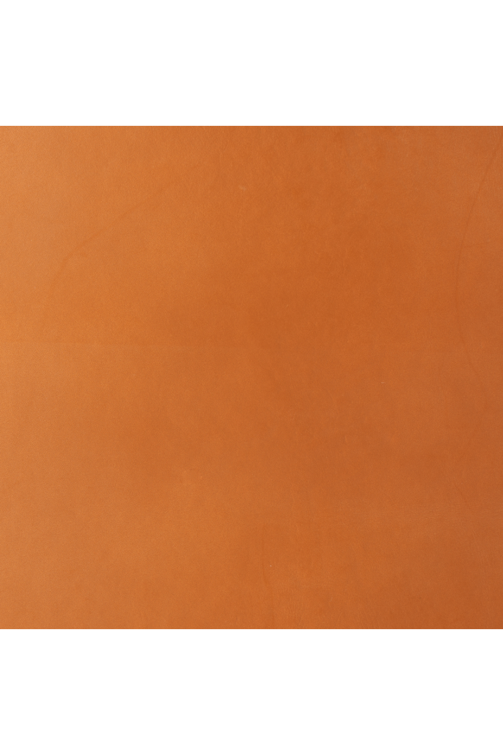 Tan Leather Accent Chair | Oroa.com
