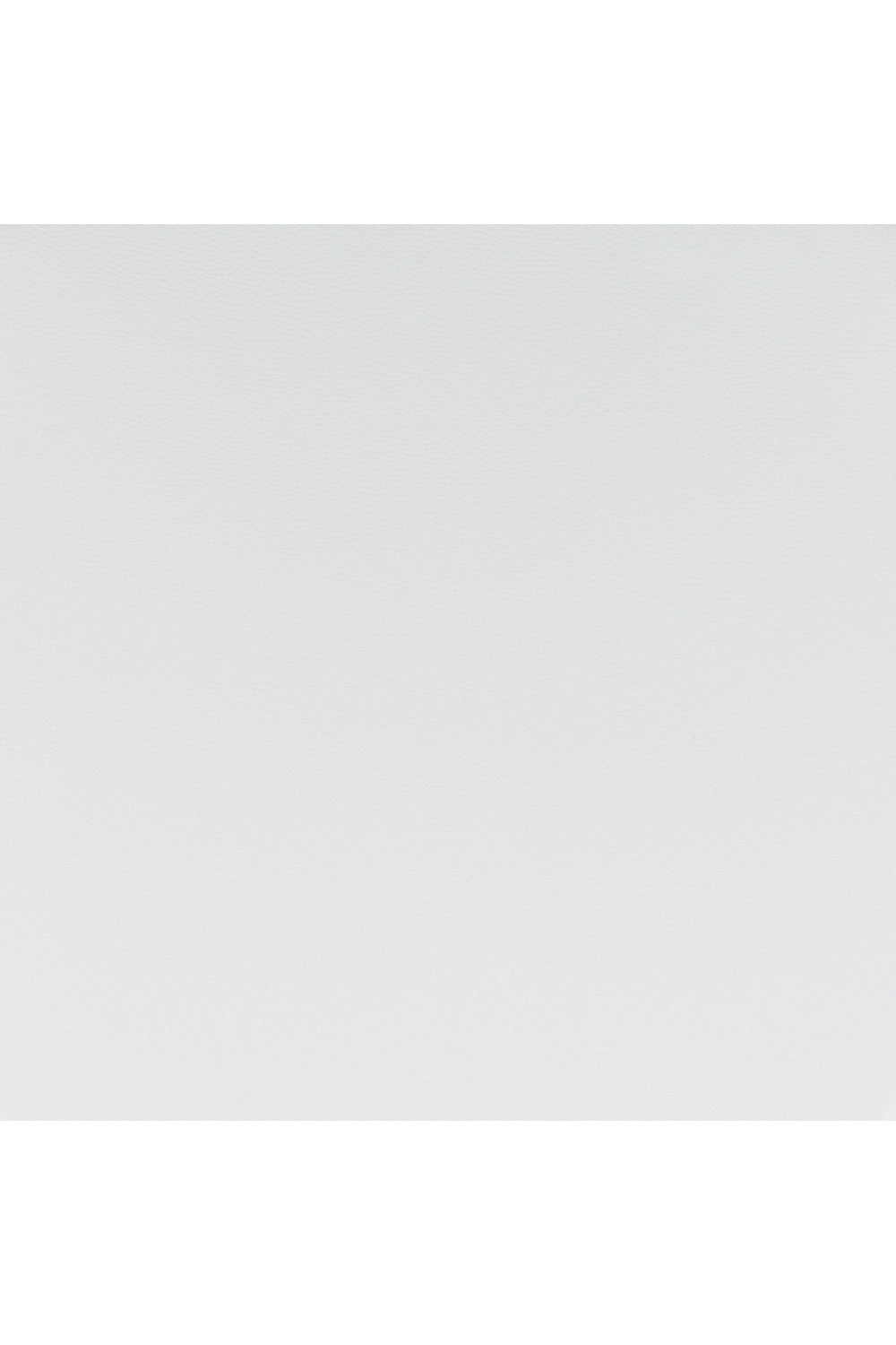 Polished Steel Office Chairs (2) | OROA Modern Plus | Oroa.com