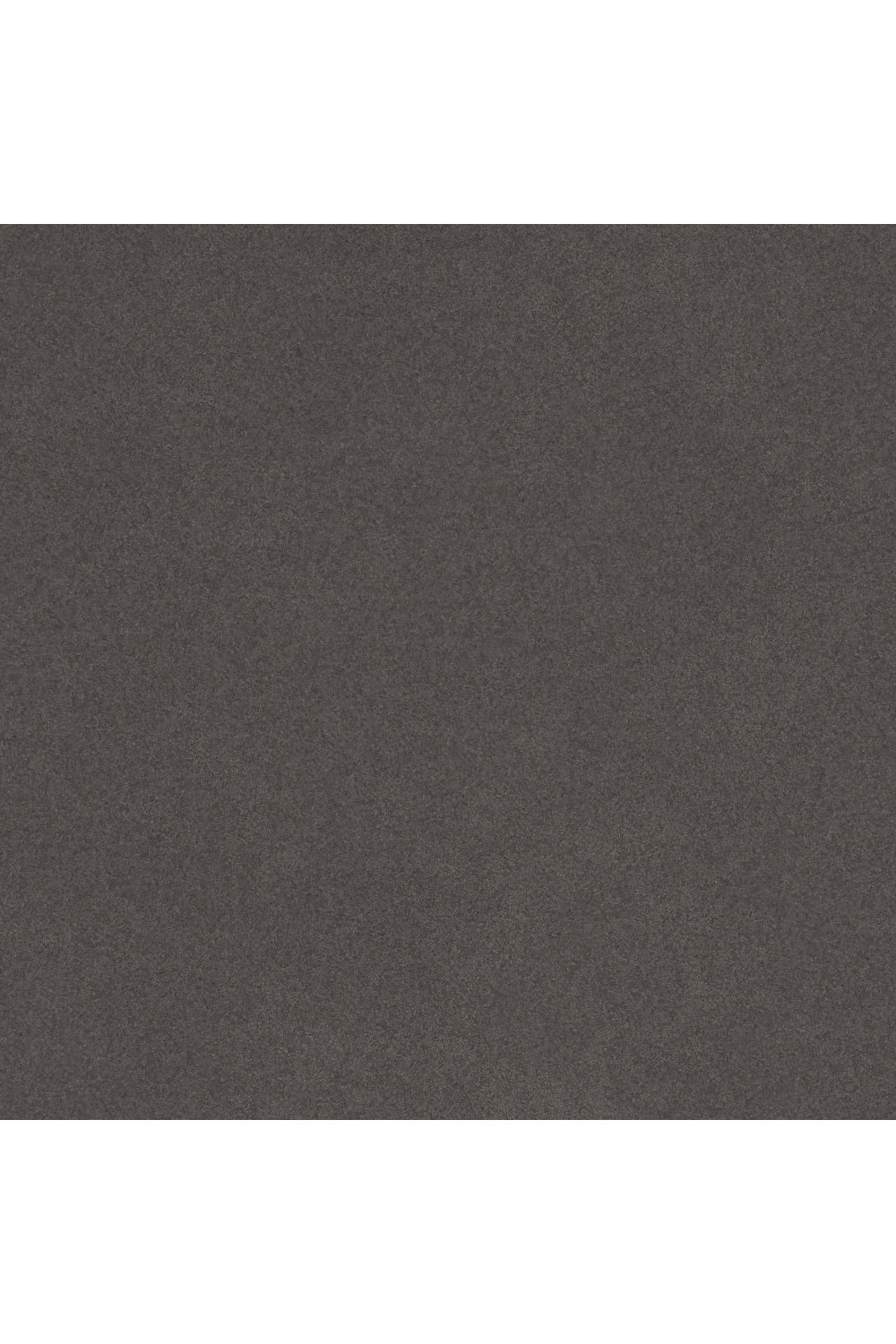 Gray Padded Outdoor Accent Chair | OROA Modern Coral Reef | Oroa.com