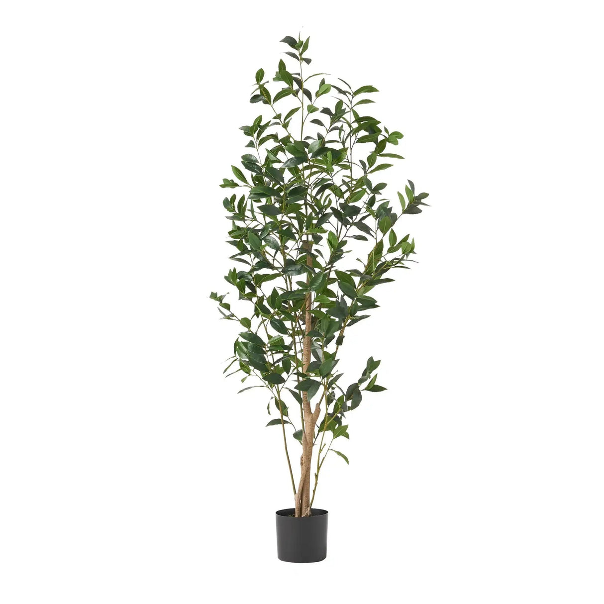Artificial Laurel Tree - Natural Look
