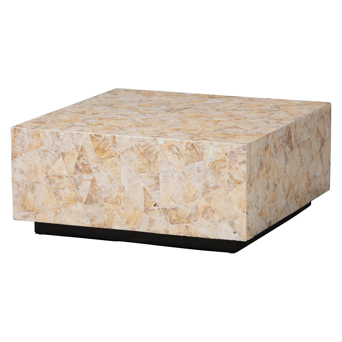 Capiz Shell Coffee Table by Catchy – OROA