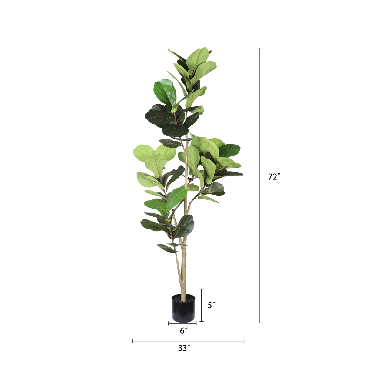 Fiddle Leaf Fig Tree - Natural Look