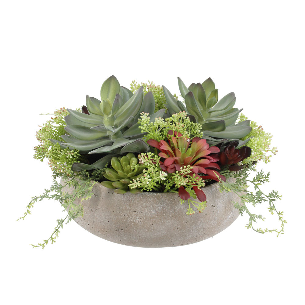 Lifelike Succulent Arrangement - OROA