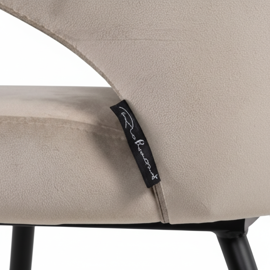 Modern Dining Chair | Oroa.com