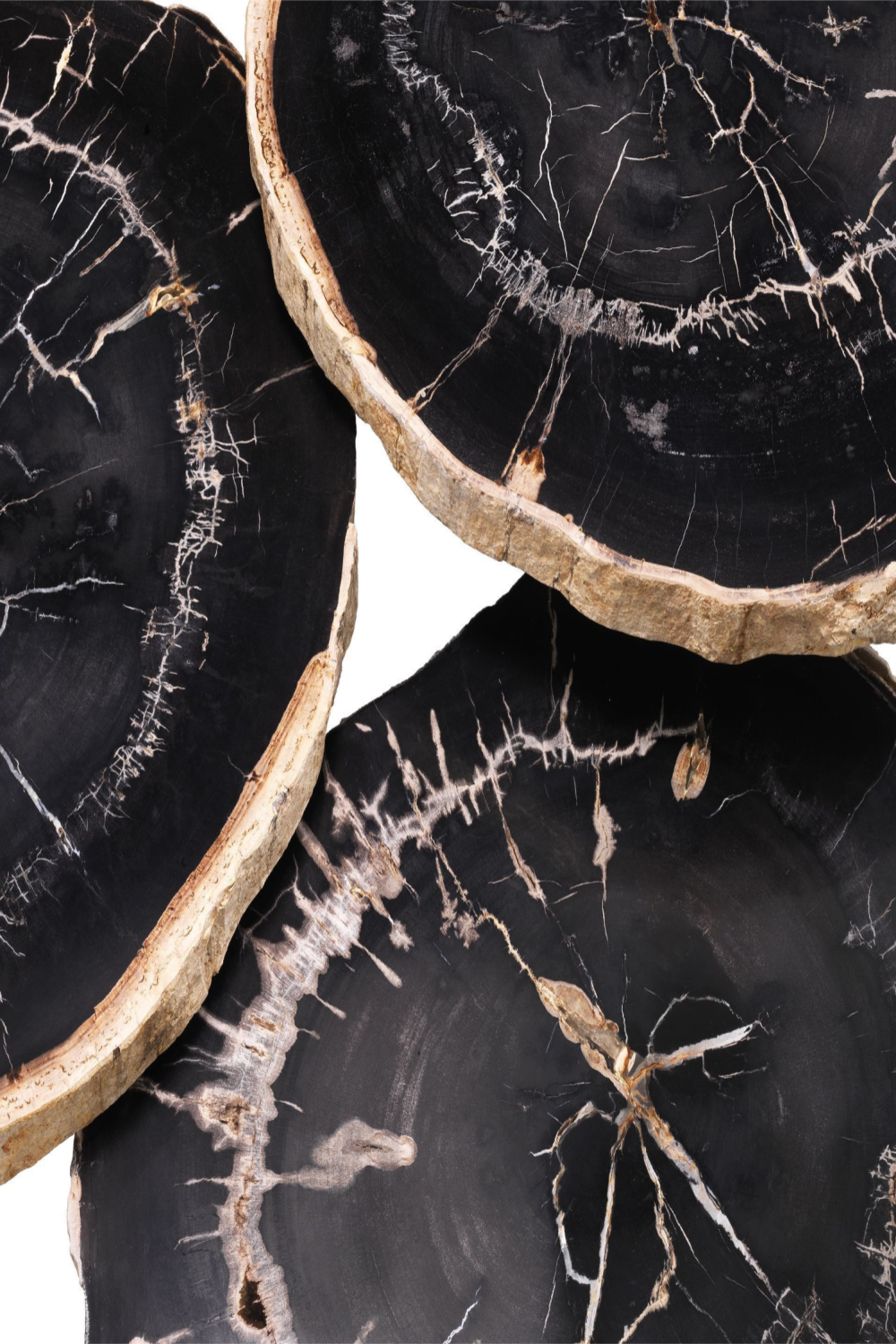 Petrified Wood Coffee Table Set | Eichholtz De Soto | OROA