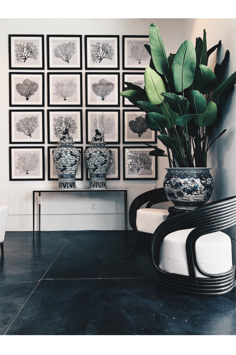 Coral Prints Set | Eichholtz Shadow Sea Fans | OROA