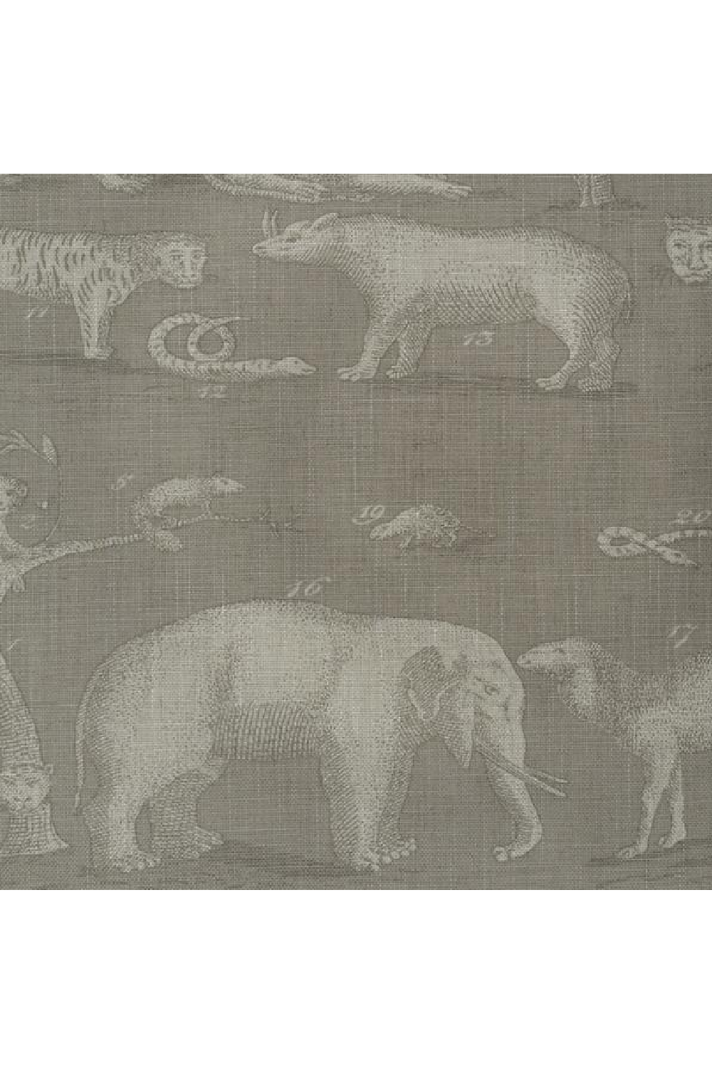 Animal Design Cushion M | Andrew Martin Kingdom | OROA