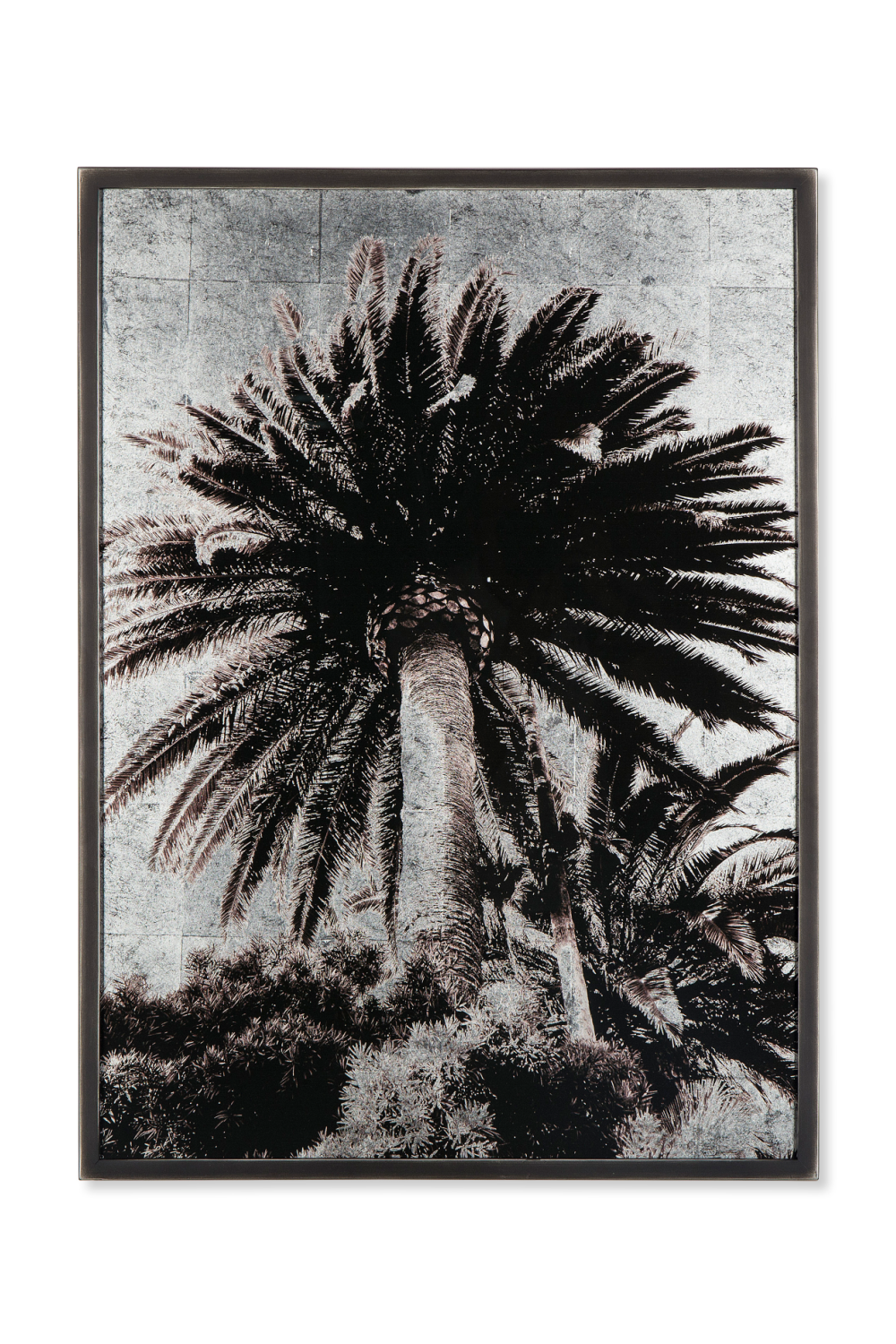 Black And White Artwork | Andrew Martin Venice Palm Trees | Oroa.com