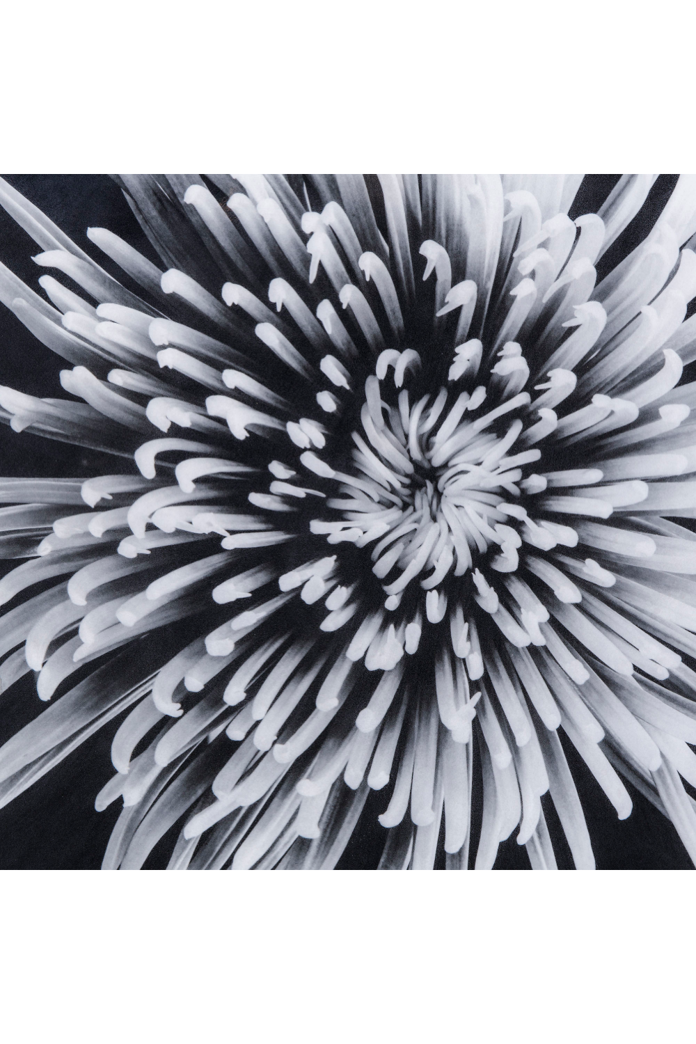 Black And White Epoxy Artwork | Andrew Martin | Oroa.com