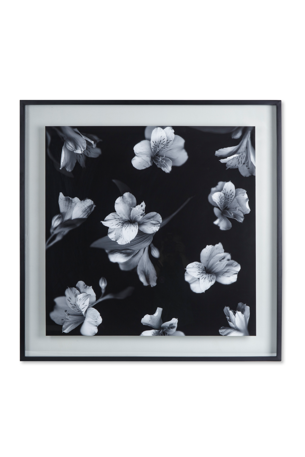 Contemporary Flower Photographic Artwork | Andrew Martin | Oroa.com