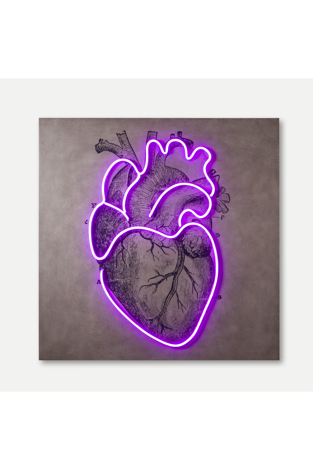 Violet LED Neon Artwork | Andrew Martin Heart | OROA