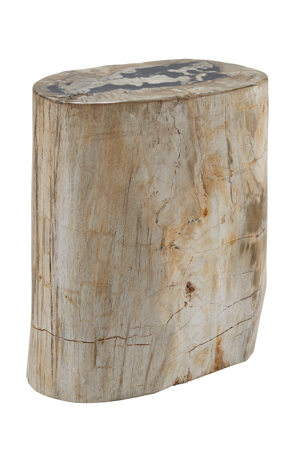Hand-Polished Petrified Wood Stool | Andrew Martin Log | OROATRADE
