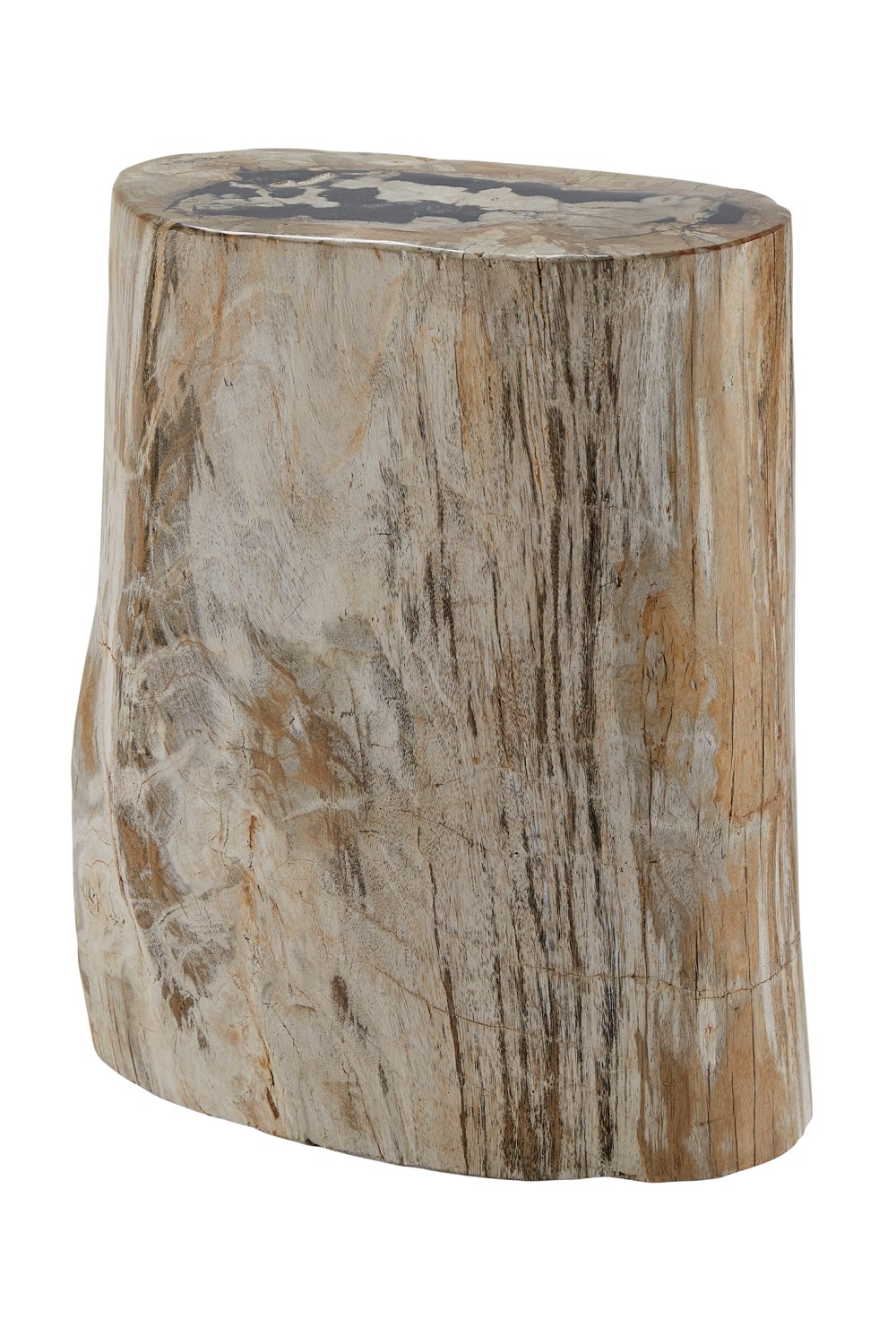 Hand-Polished Petrified Wood Stool | Andrew Martin Log | OROATRADE
