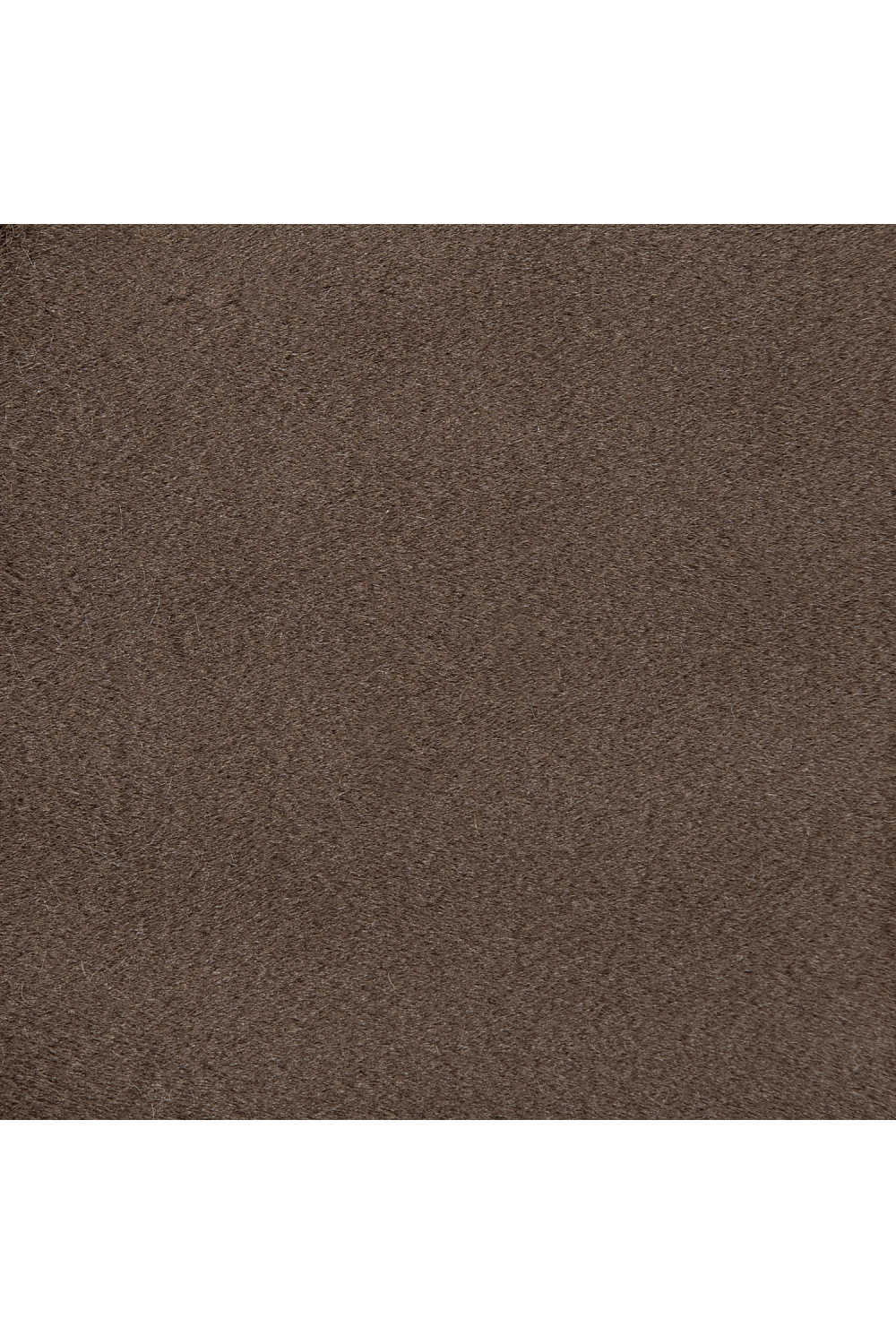 Taupe Velvet Dining Chair | Caracole Caress | Oroa.com