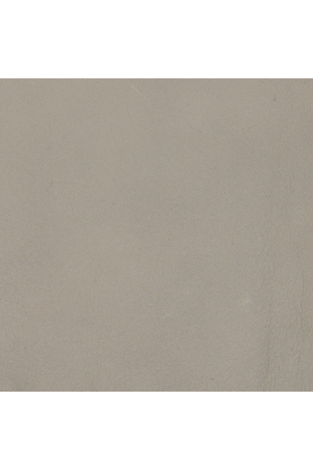 Taupe Leather Daybed | Caracole Head To Head | Oroa.com