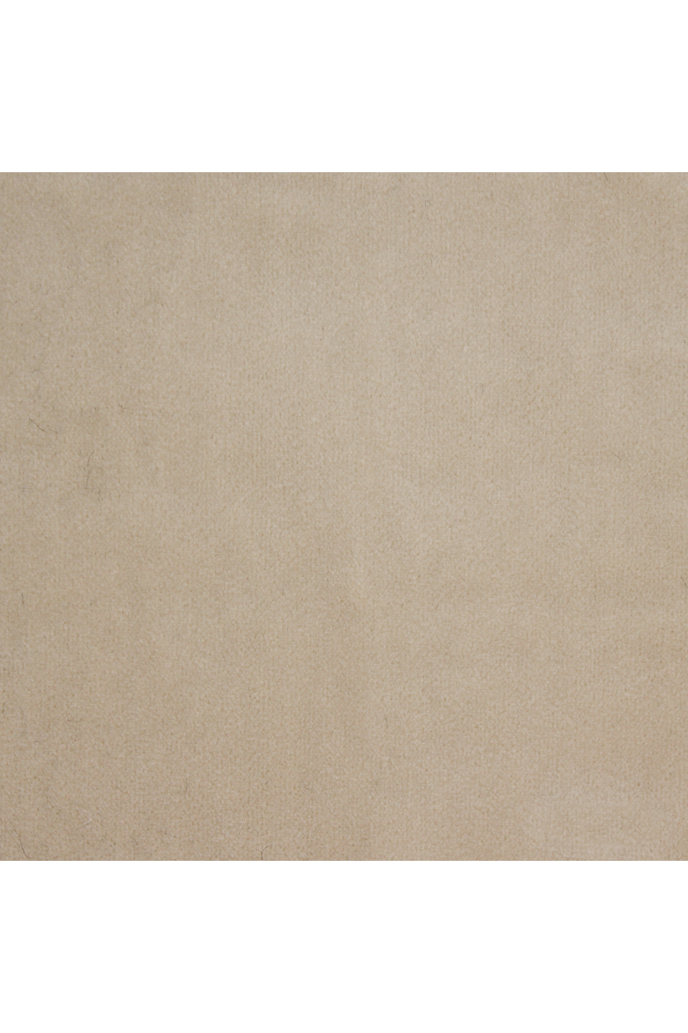 Velvet Modern Accent Chair | Caracole On All Levels | Oroa.com