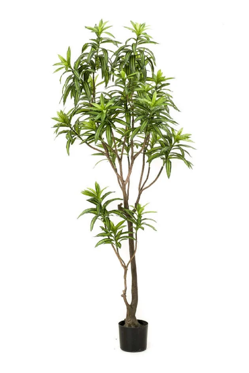 Artificial Potted Green Foliage Set (2) 