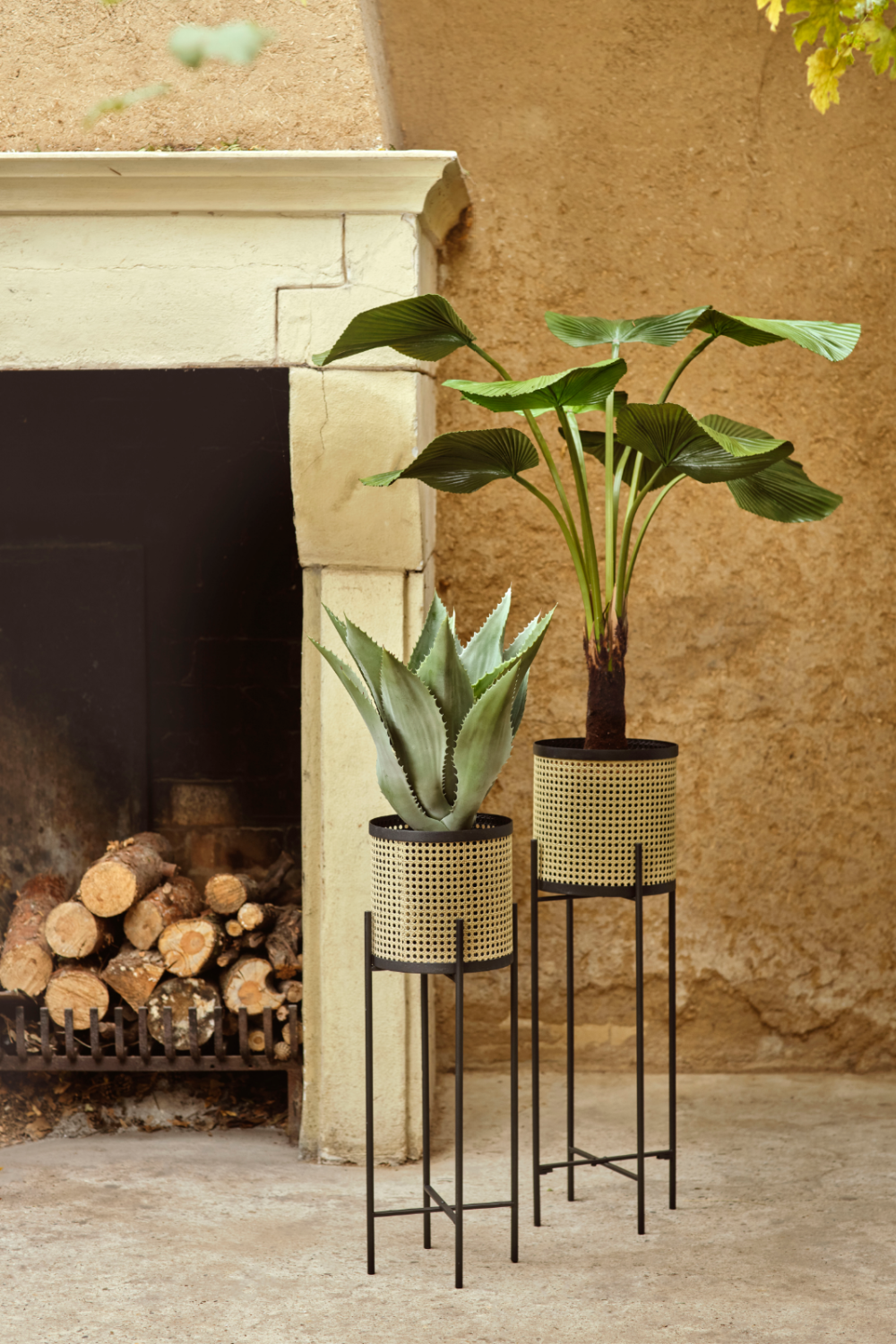 Faux Fan Palm Deco | Oroa.com