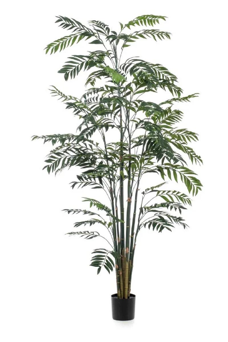 buy bamboo palm plant Black Potted Faux Tree Set (2) | Emerald Bamboo Palm