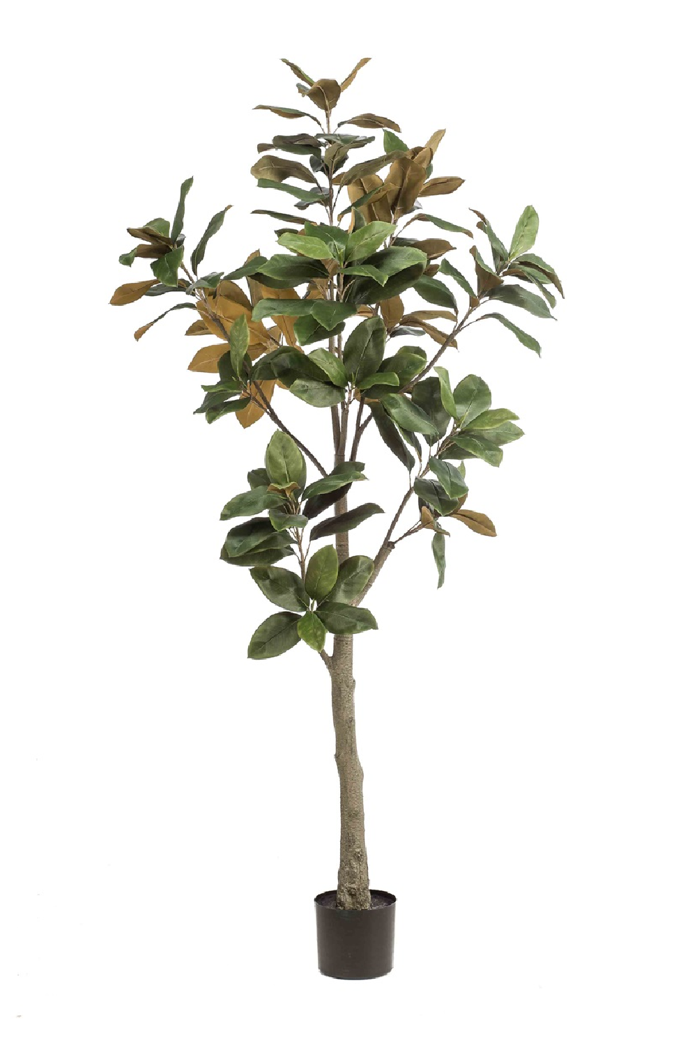 Faux Lily Tree Set (2) | Emerald Magnolia Denudata | Oroa.com