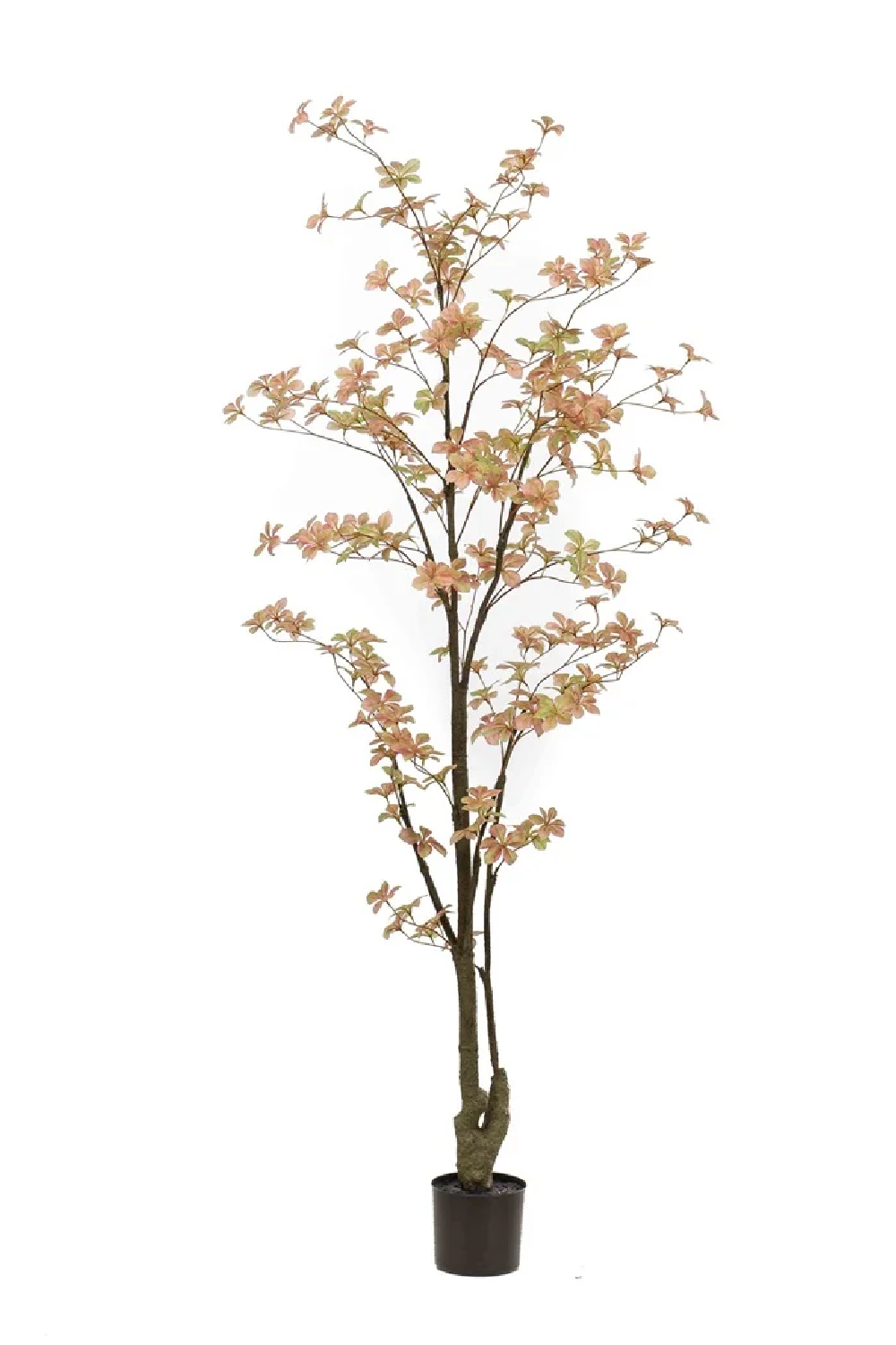 Peach Flowering Faux Plant Set (2) | Emerald Tropaeolum | Oroa.com