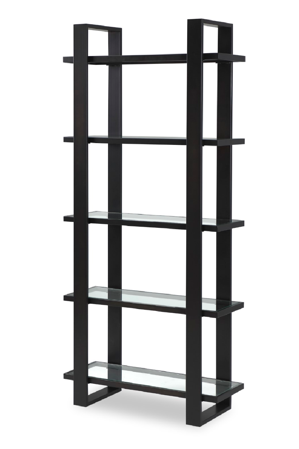 Dark Brown/Black Metal Glass Bookcase | Oroa.com
